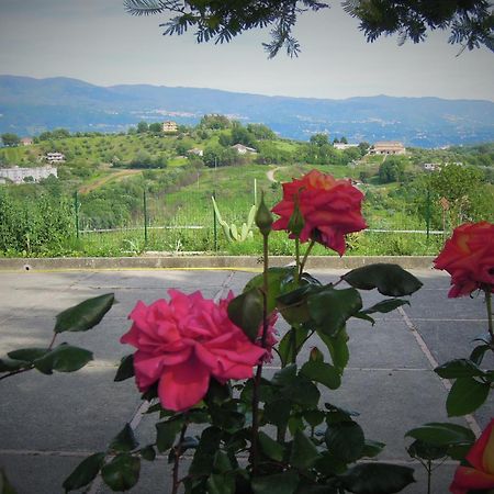La Dimora Di Radha B&B Centro Olistico Ренде Екстер'єр фото